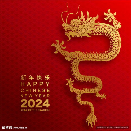 龙插画设计图