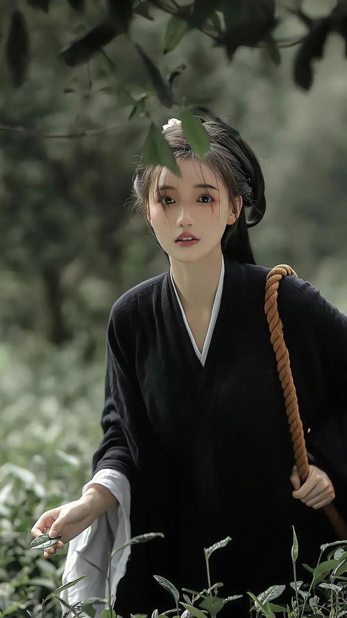 古风美女与现代美女