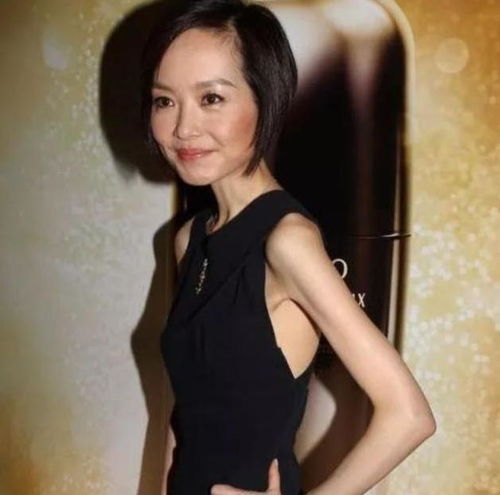 火柴人鲁豫23岁入央视,挺大肚子和老外离婚,50岁无儿无女