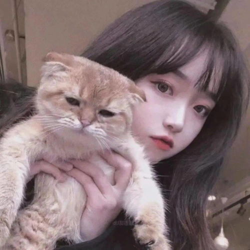 头像图片丨女生头像丨可爱的猫系女头1214