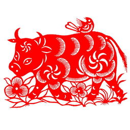 属牛的今年多大2019