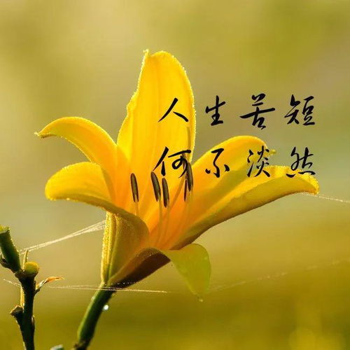 阳光治愈系的早安励志句子,送给努力奋斗的你