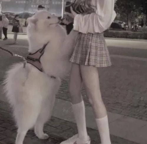 女孩子是假胖还是真胖这3部位没赘肉,就别嚷着减肥哟