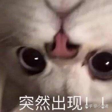 女生怎样才能又帅,又沙雕,又可爱