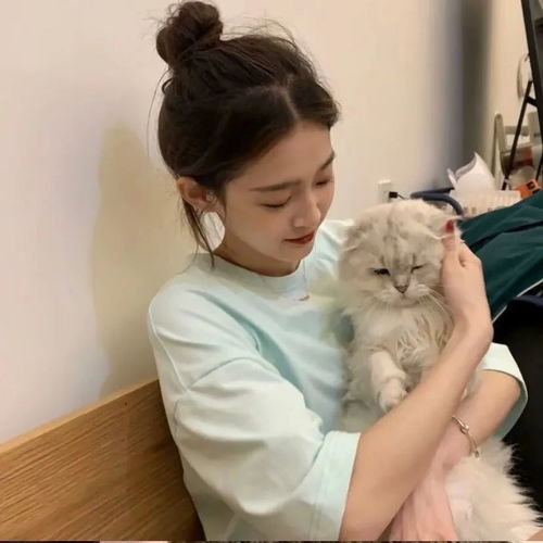 头像抱猫女头