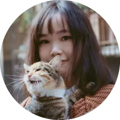90后姑娘用古风线条,画出女子极致的美,每一张都惊艳了时光