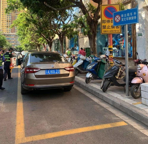 禁止时段遛狗占用专用车位停车...楚雄城管又曝光一批不文明违法违规行为