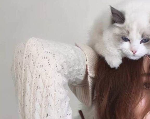 猫咪为什么更喜欢女性背后是有原因的