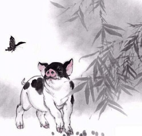 大金猪人你的贵人已到在门口了,快快迎接,不接不灵