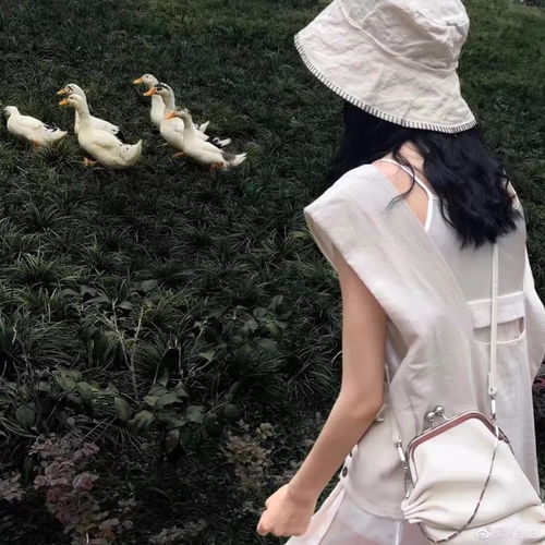 头像真诚地对待每一件事