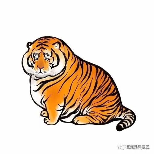 有老虎寿光的动物园你们去过吗