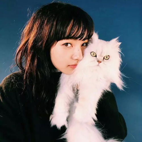 壁纸小松菜奈,连gd都爱上她的冷漠脸