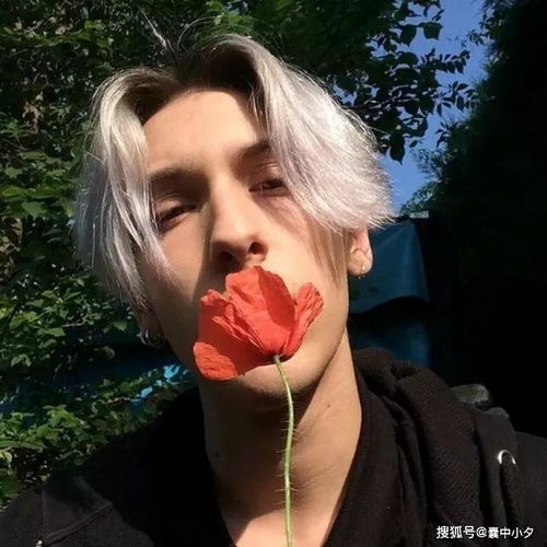 微信头像图片大全卡通萌宠个性搞怪风景,精挑细选一千张高清头像