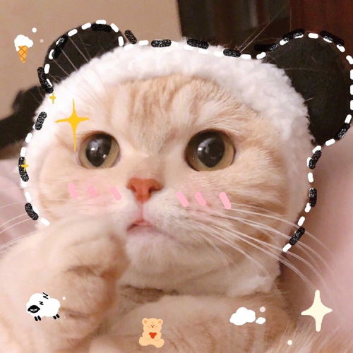 卡哇伊猫咪头像来喽
