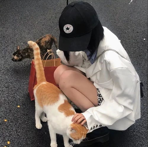 女人用鹿做头像啥意思头像