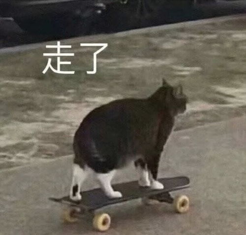 搞笑女必备表情包还想要什么尽管说出来