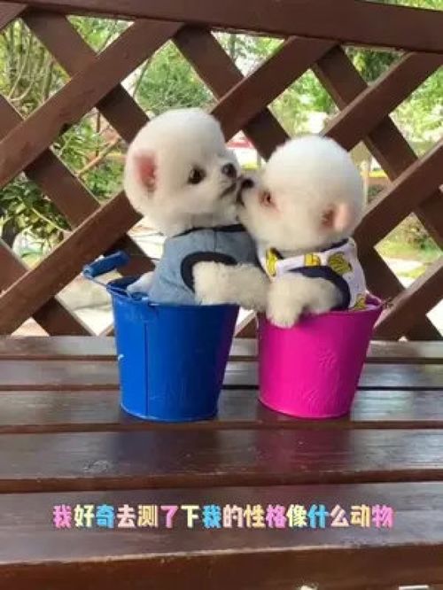 美女卖萌特效拍摄清纯妹子图片轮播
