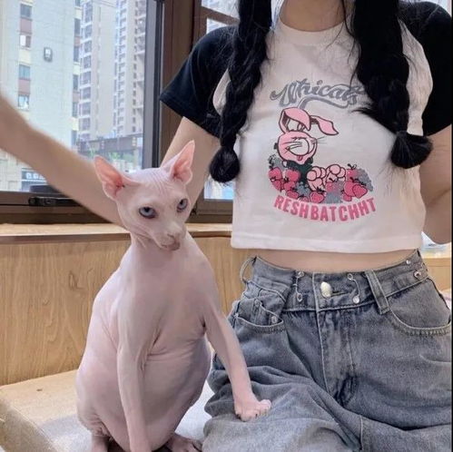 好看又不露脸的头像怎样发圈可以变成大家的快乐源泉