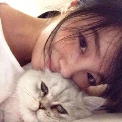 猫叫的几种原因