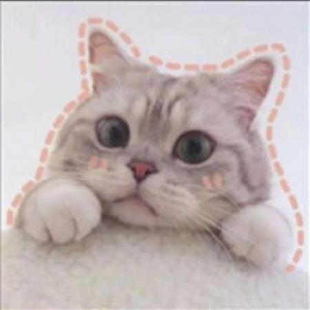 可爱小动物头像,小狗狗小猫咪送给喜欢的亲