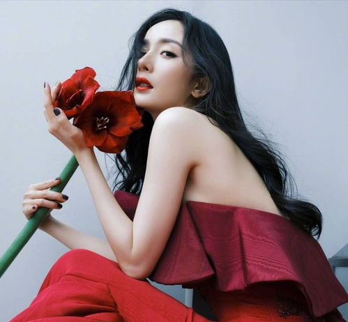 美女图杨幂