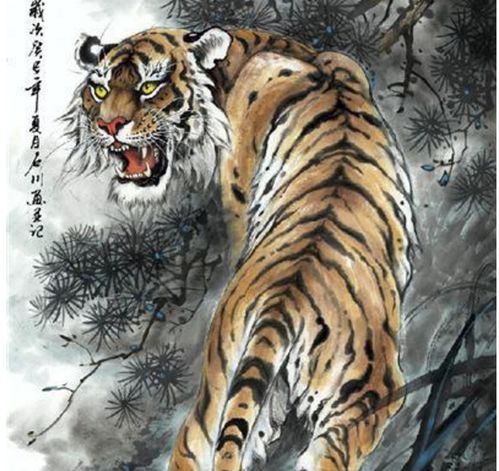 属虎人天机不可泄,12月将有一生中最大的事,是苦也是乐