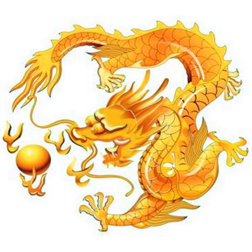 2022龙头像图片