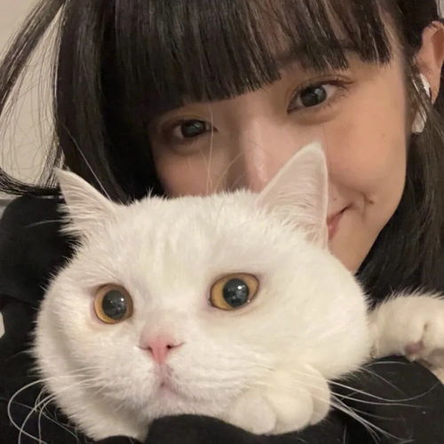 超人气女生头像