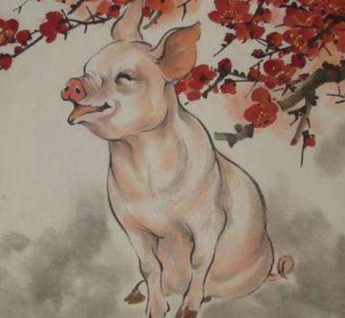 属猪人世事难料6月下旬步入人生上上签,喜迎大喜事
