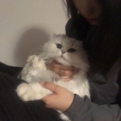 温柔抱猫部位闺蜜头遇到那么多女生头像我要个性网