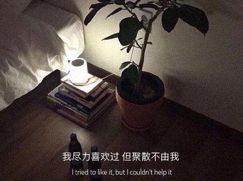 推荐女孩子看的文案