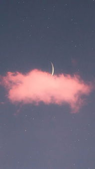 这些壁纸也太太太好看了吧你想要的这里全都有