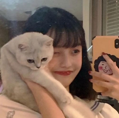 绝美女生头像猫猫和宝贝
