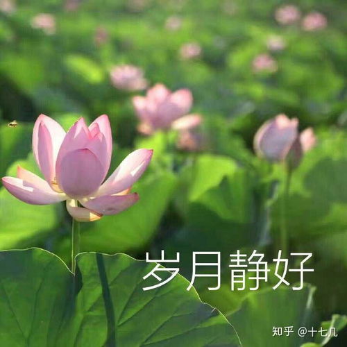中年女人用自己头像做微信头像中年