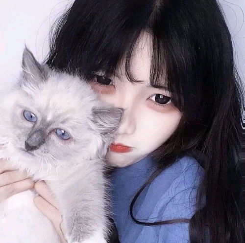 猫系女头抱猫系列