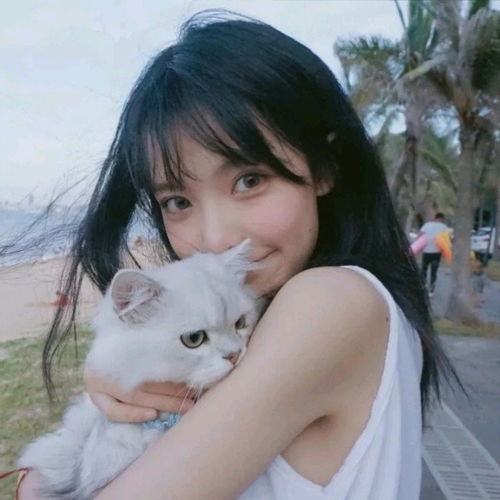 情头七夕换上情头吧
