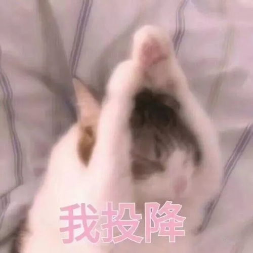 这个19岁少年,昨夜让9岁到79岁男人激动有人却伤感了
