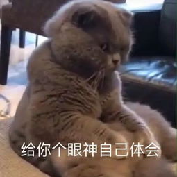 大城市完美的单身女性都是外地人