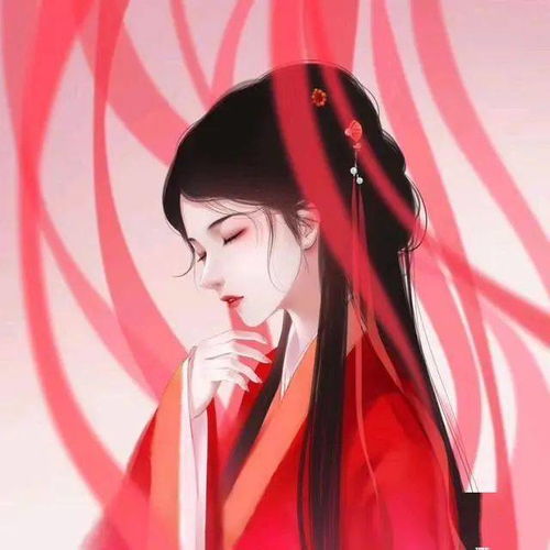 搜狐网
