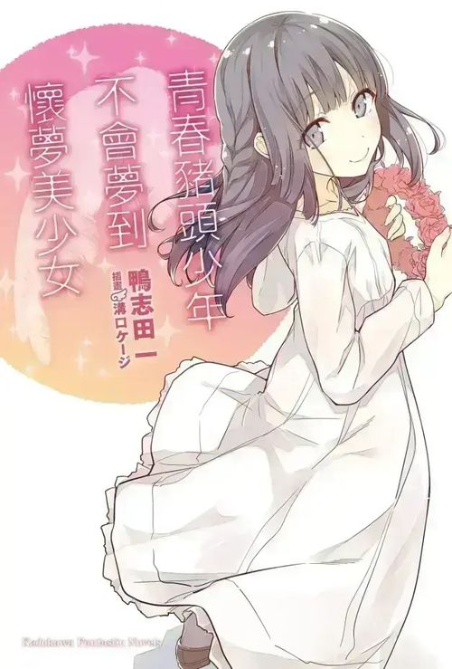 青春猪头少女不会梦到怀梦美少女第四章两条路3
