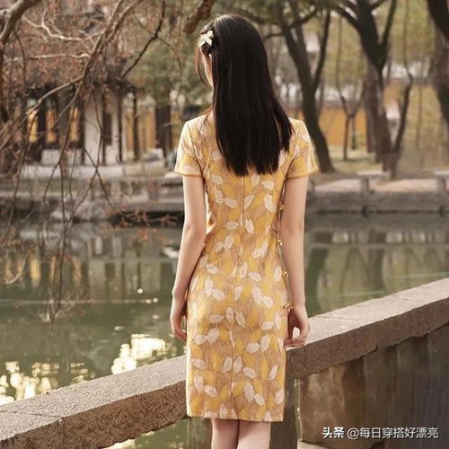第57章黄色蕾丝年轻少女高端高贵气质旗袍