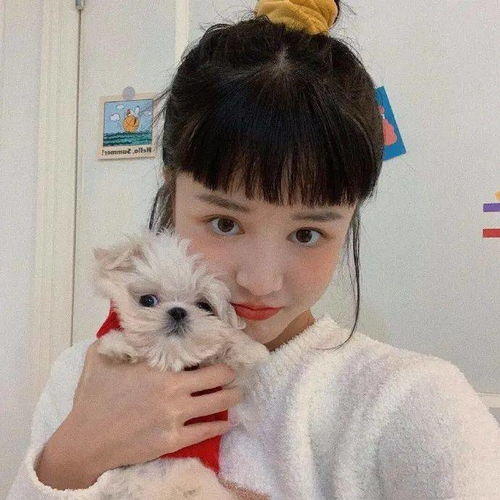 微信qq女生头像大全