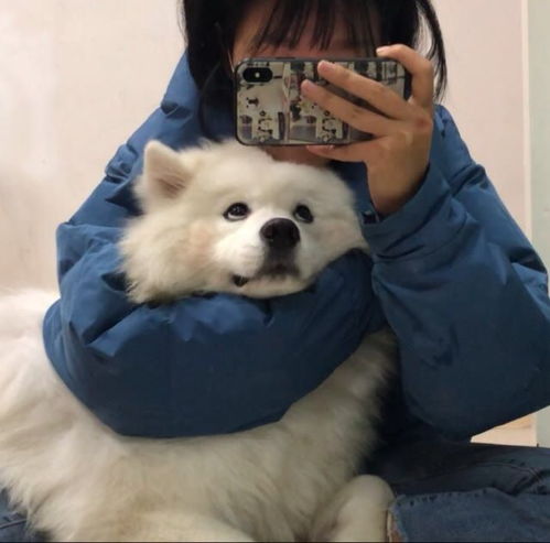 来一波女头分享