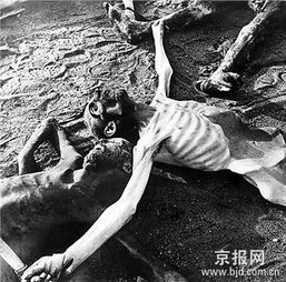 纳粹女魔头逃脱法网