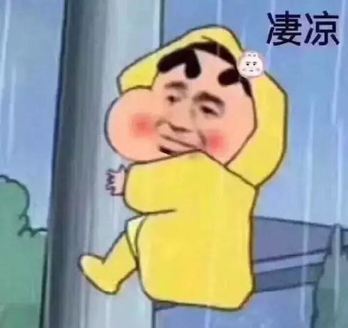 头像更换频繁者渣男渣女头像者,究竟哪个,你中了招