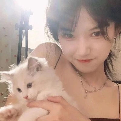 高颜值抱猫女头像
