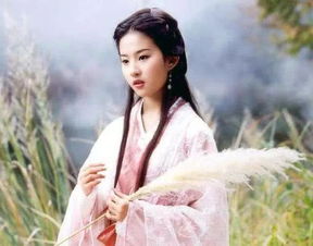 女星零头饰古装发型,张馨予清丽脱俗,李若彤气质高冷