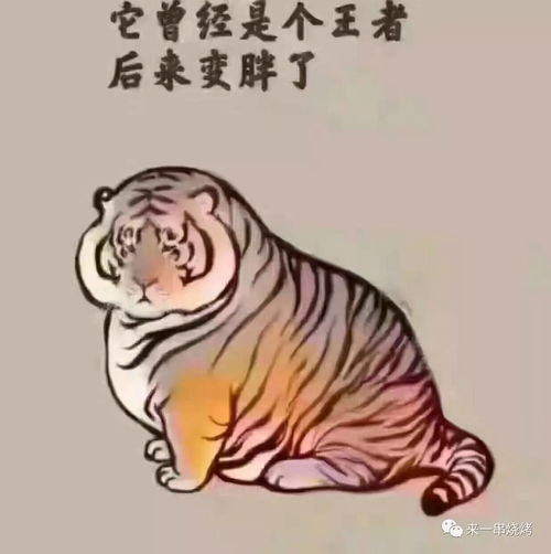 马上开学了,这个专属于烟大学子的福利你还不赶紧来领取