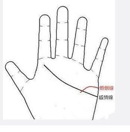 这种手相的女人,在婚姻中煎熬,想离婚却难以离婚