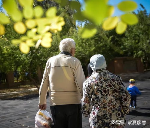 人到老年才明白最亲的人,原来不是老伴,不是儿女,而是这3个人